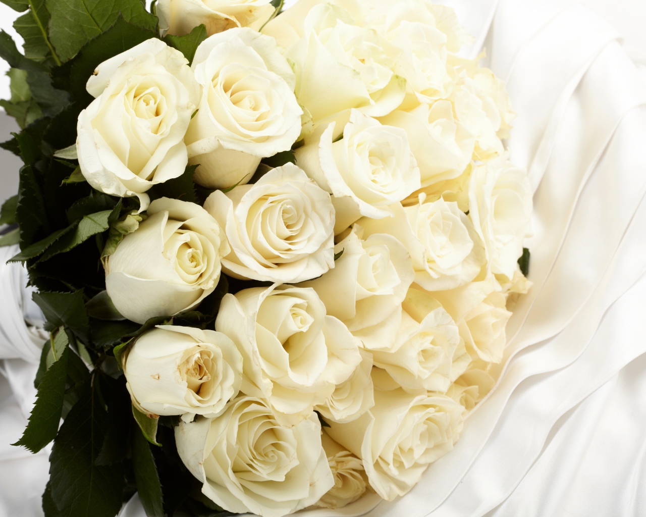 Большой букет белых роз на белой ткани