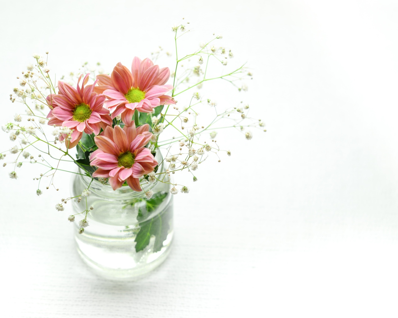 Красивые розовых хризантемы в банке на белом фоне