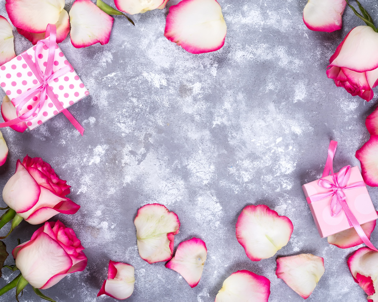 Красивые розовые розы с лепестками и подарками на сером фоне
