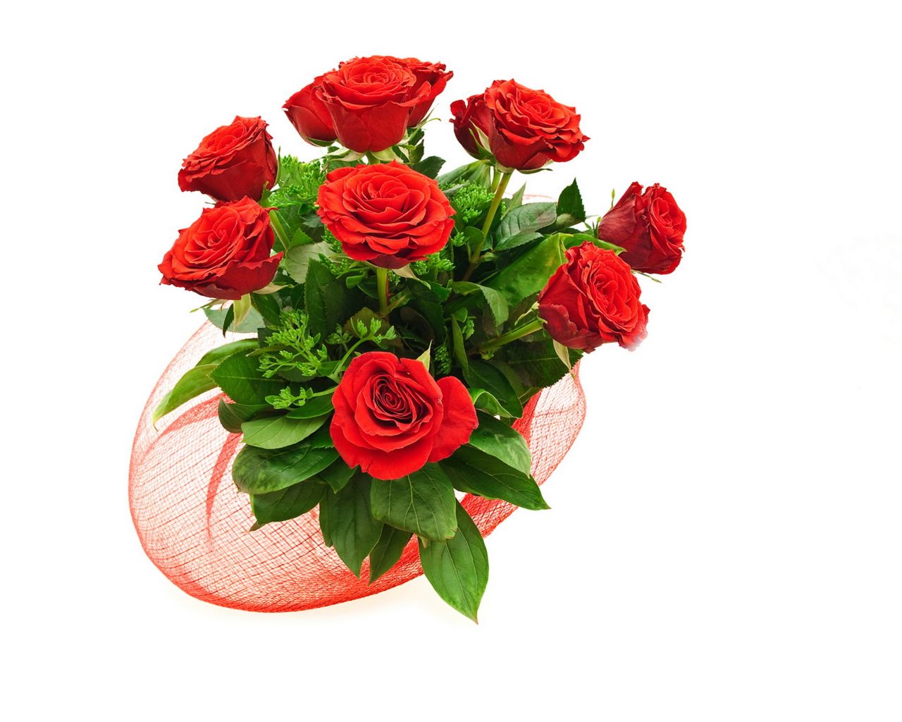 Букет красивых красных роз с зелеными листьями на белом фоне