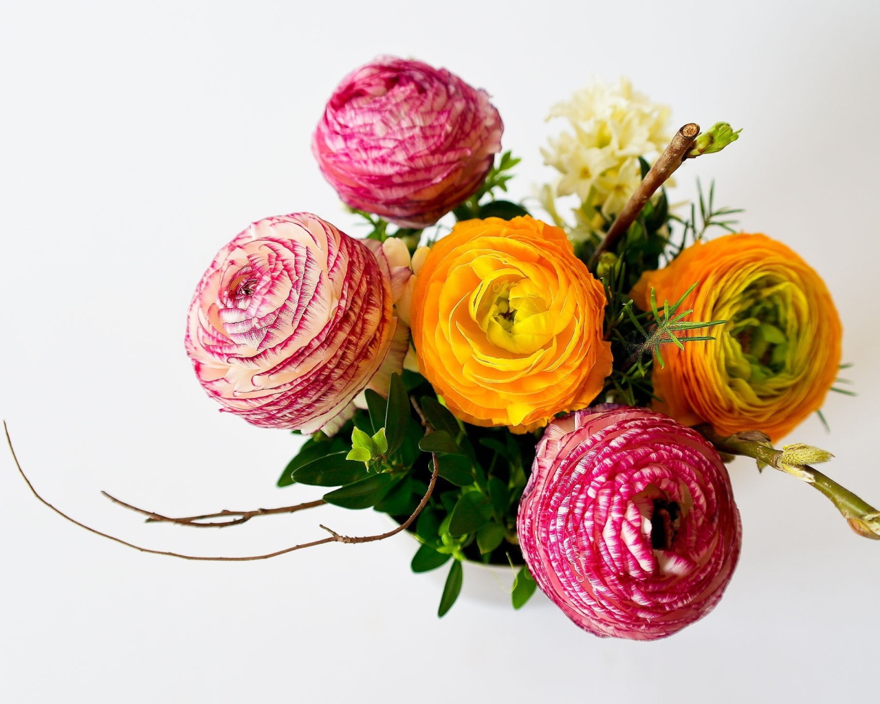 Букет разноцветных лютиков на сером фоне