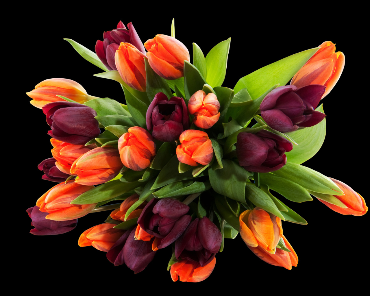 Букет разноцветных тюльпанов на черном фоне