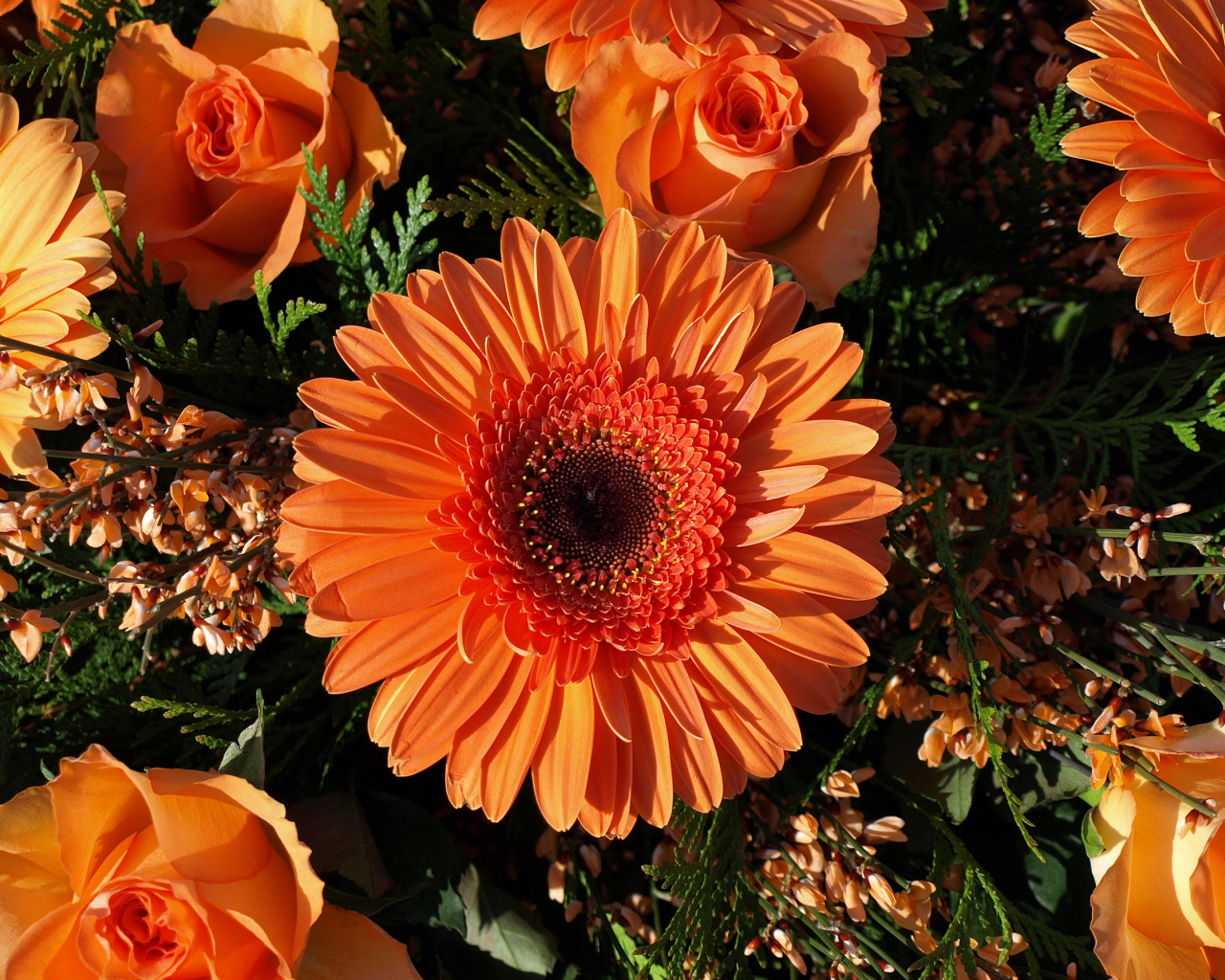 Букет оранжевых гербер с розами 