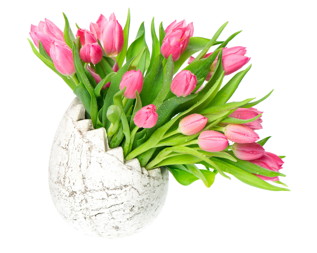 Букет розовых тюльпанов в вазе на белом фоне