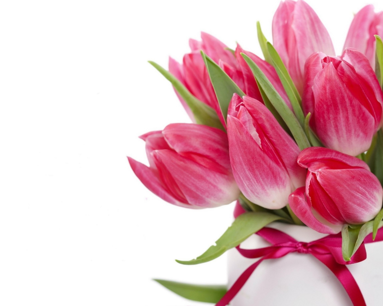 Букет розовых тюльпанов с лентой на белом фоне