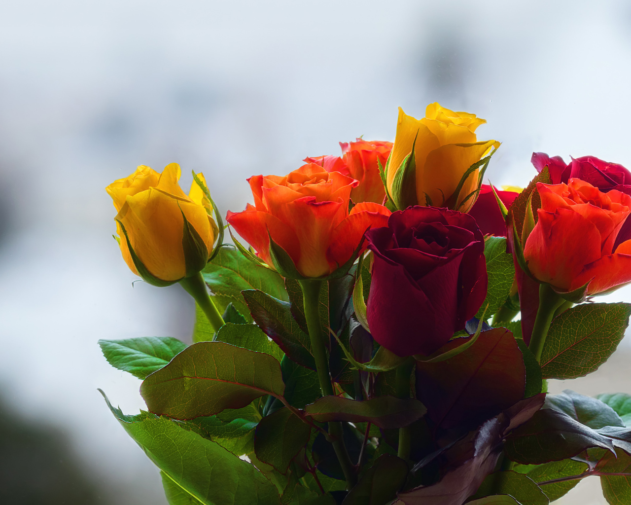 Букет колючих разноцветных роз 