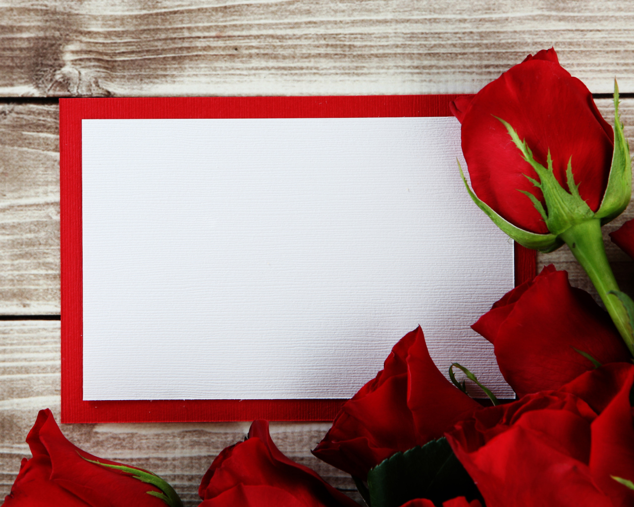 Букет роз  с листом бумаги в рамке фон для поздравительной открытки