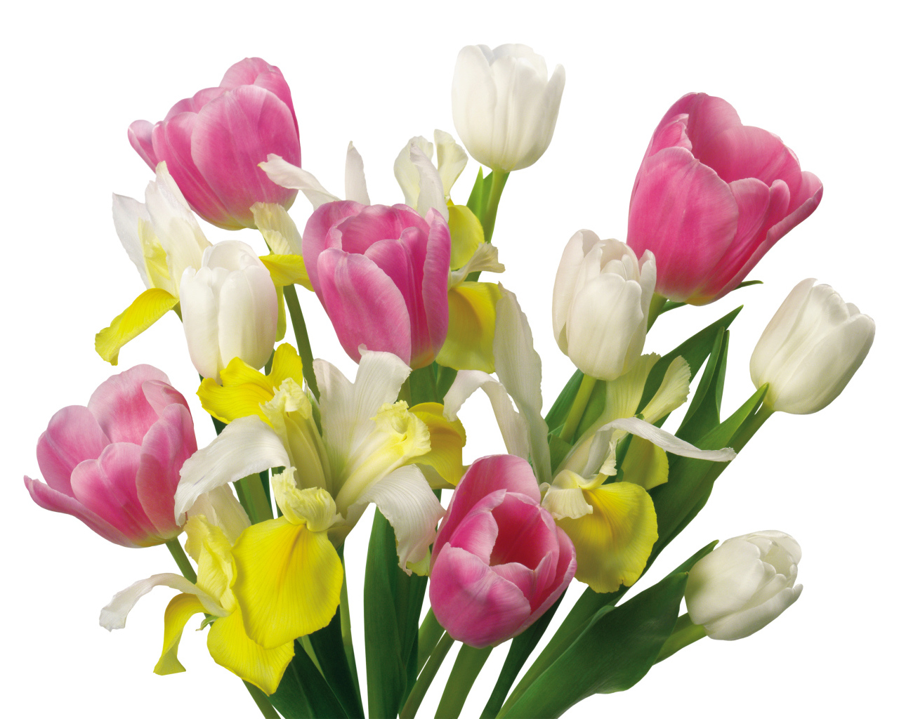 Букет желтых и розовых тюльпанов и ирисами на белом фоне