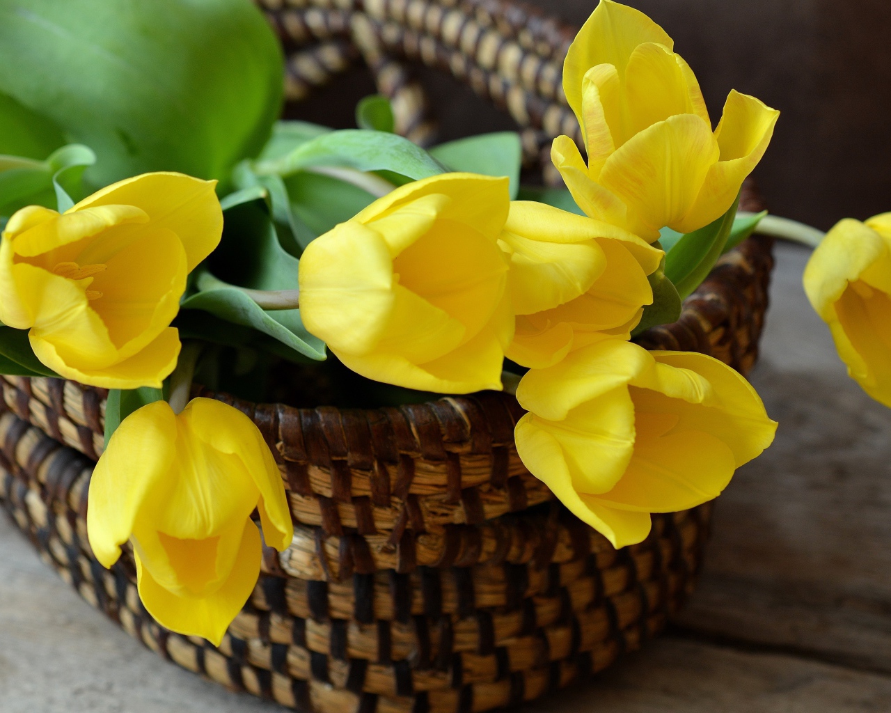 Букет желтых тюльпанов в корзине на столе