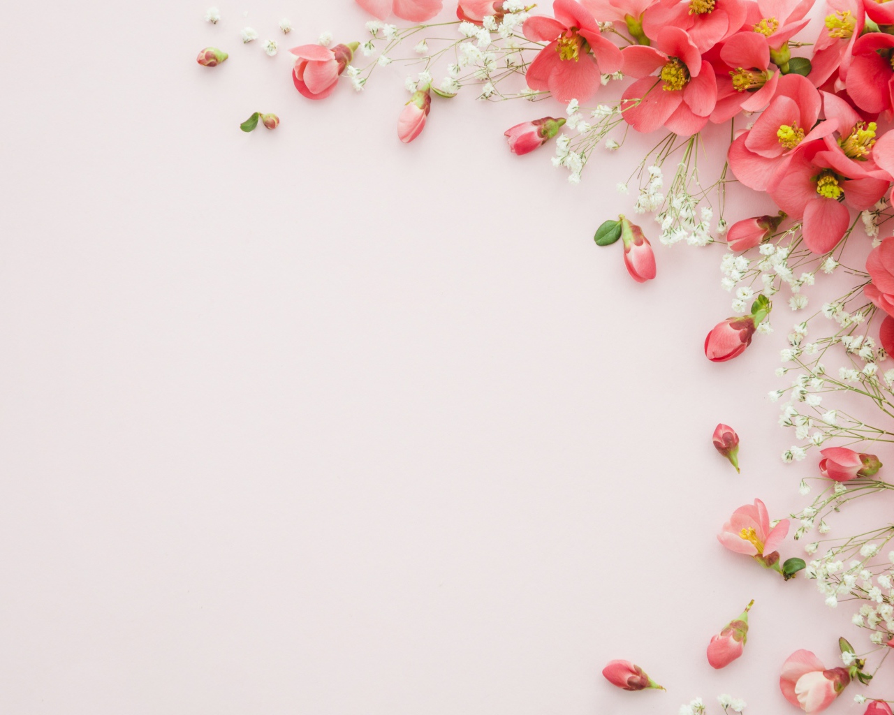 Серый фон с розовыми весенними цветами