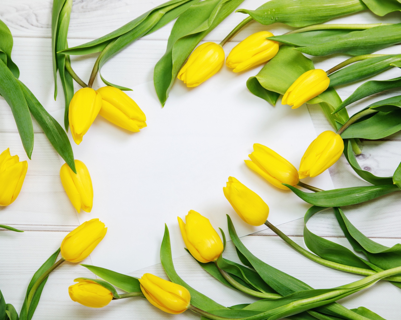 Много желтых тюльпанов с зелеными листьями на сером столе