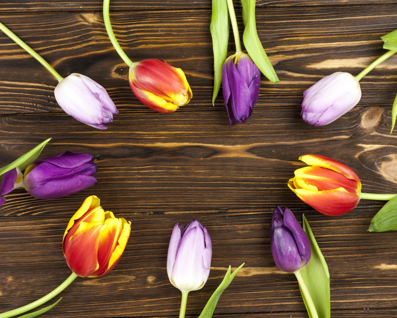 Разноцветные тюльпаны на деревянном фоне