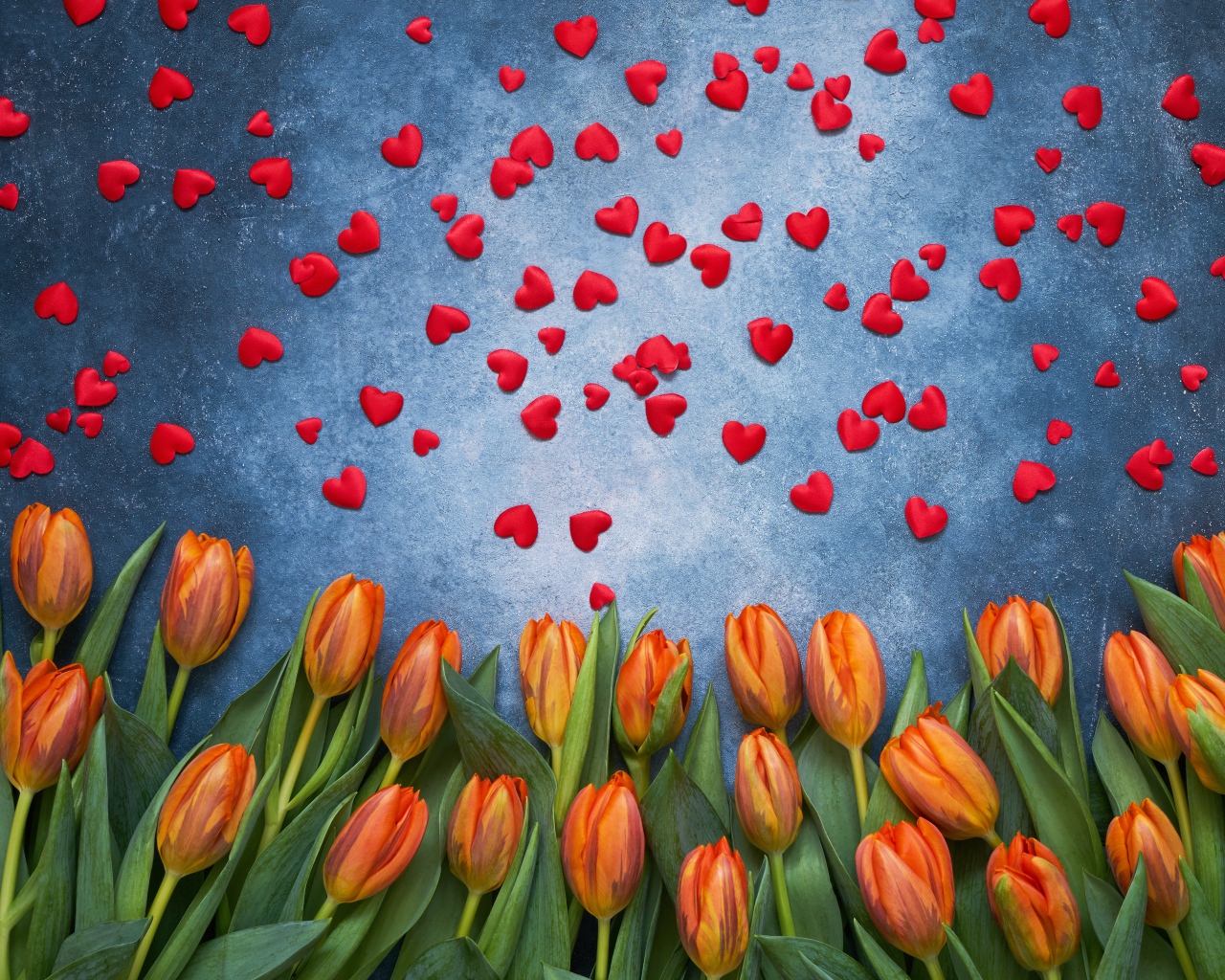Оранжевые тюльпаны на сером фоне с красными сердечками
