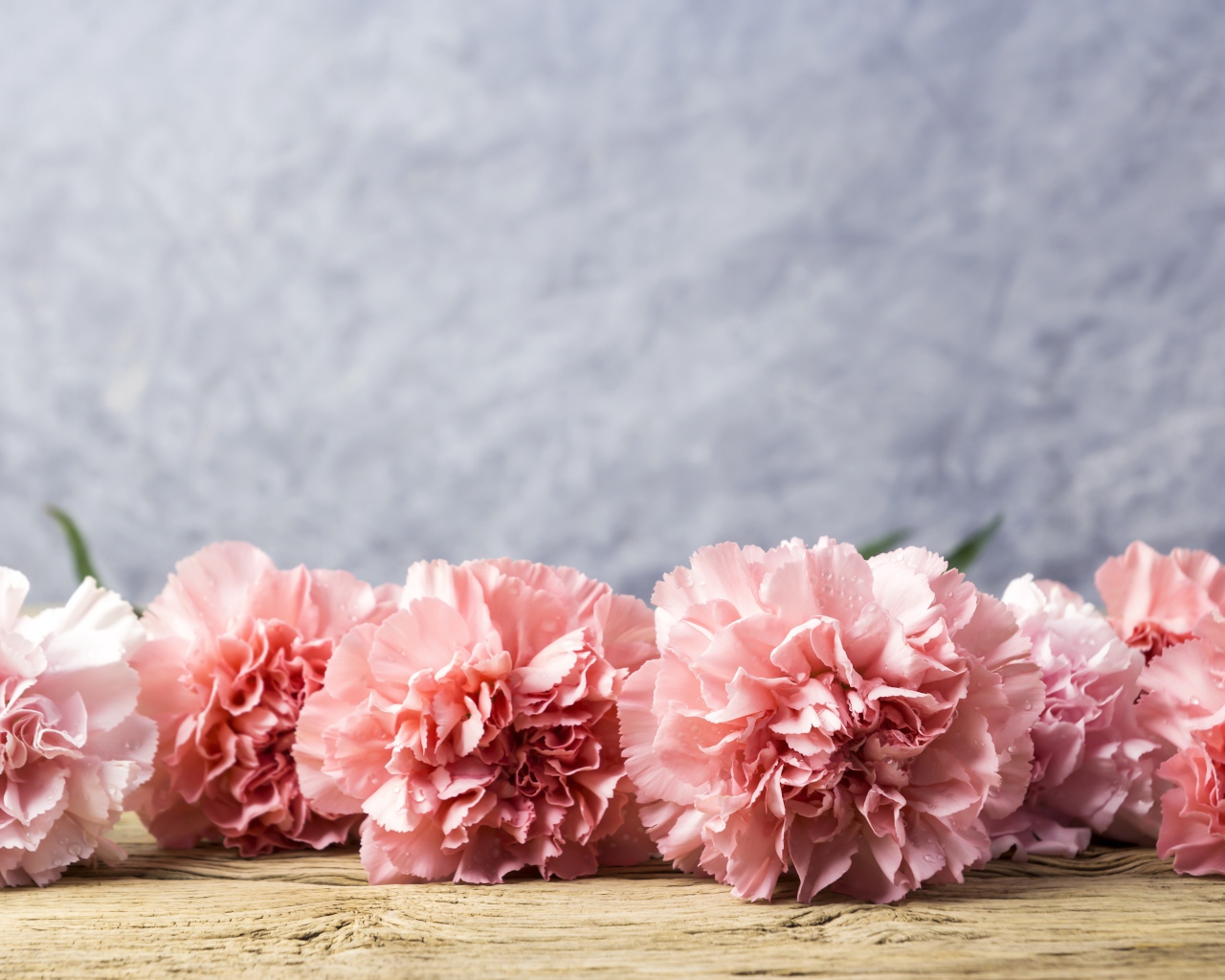 Розовые гвоздики лежат на деревянном столе