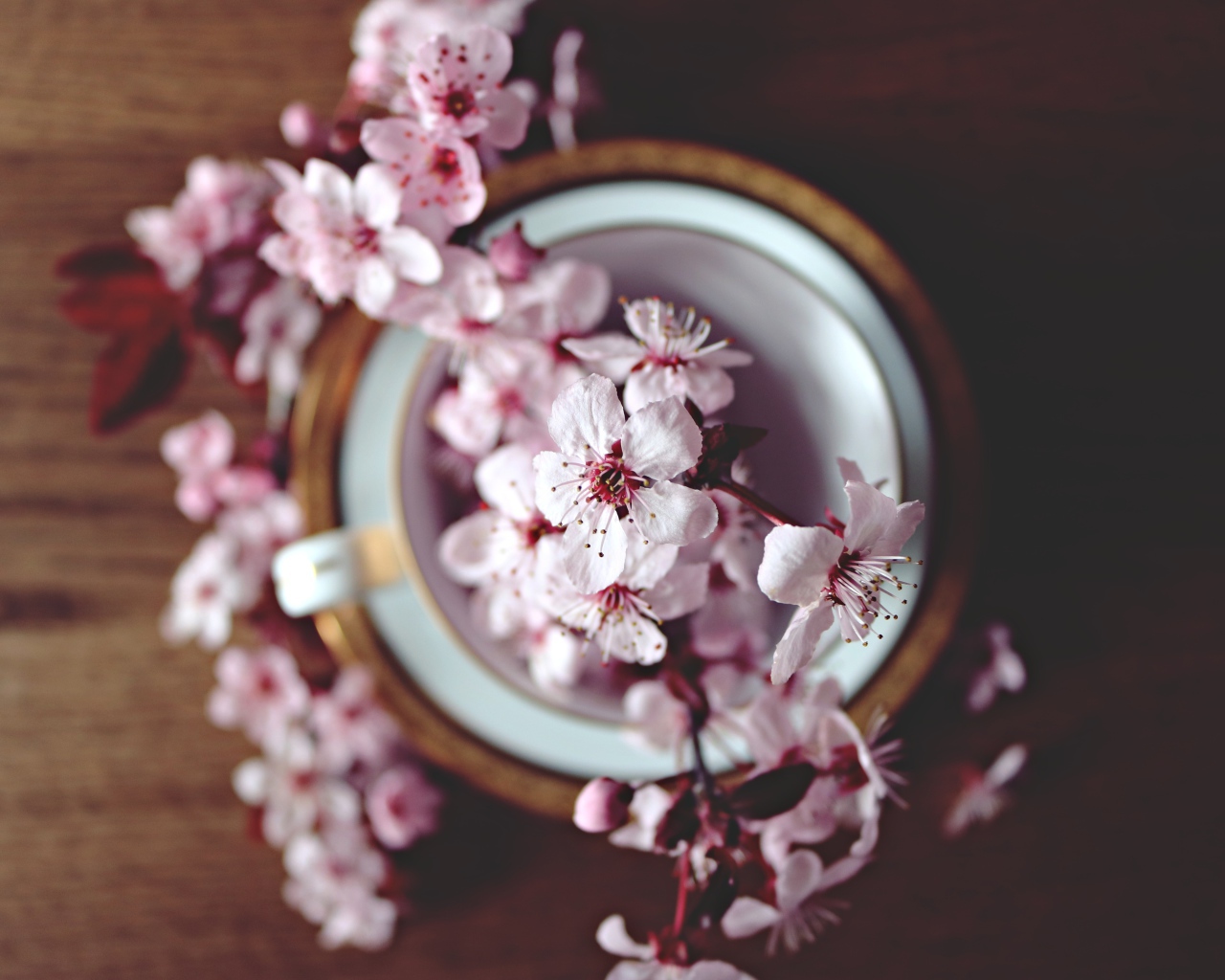 Розовые цветы в чашке на столе 