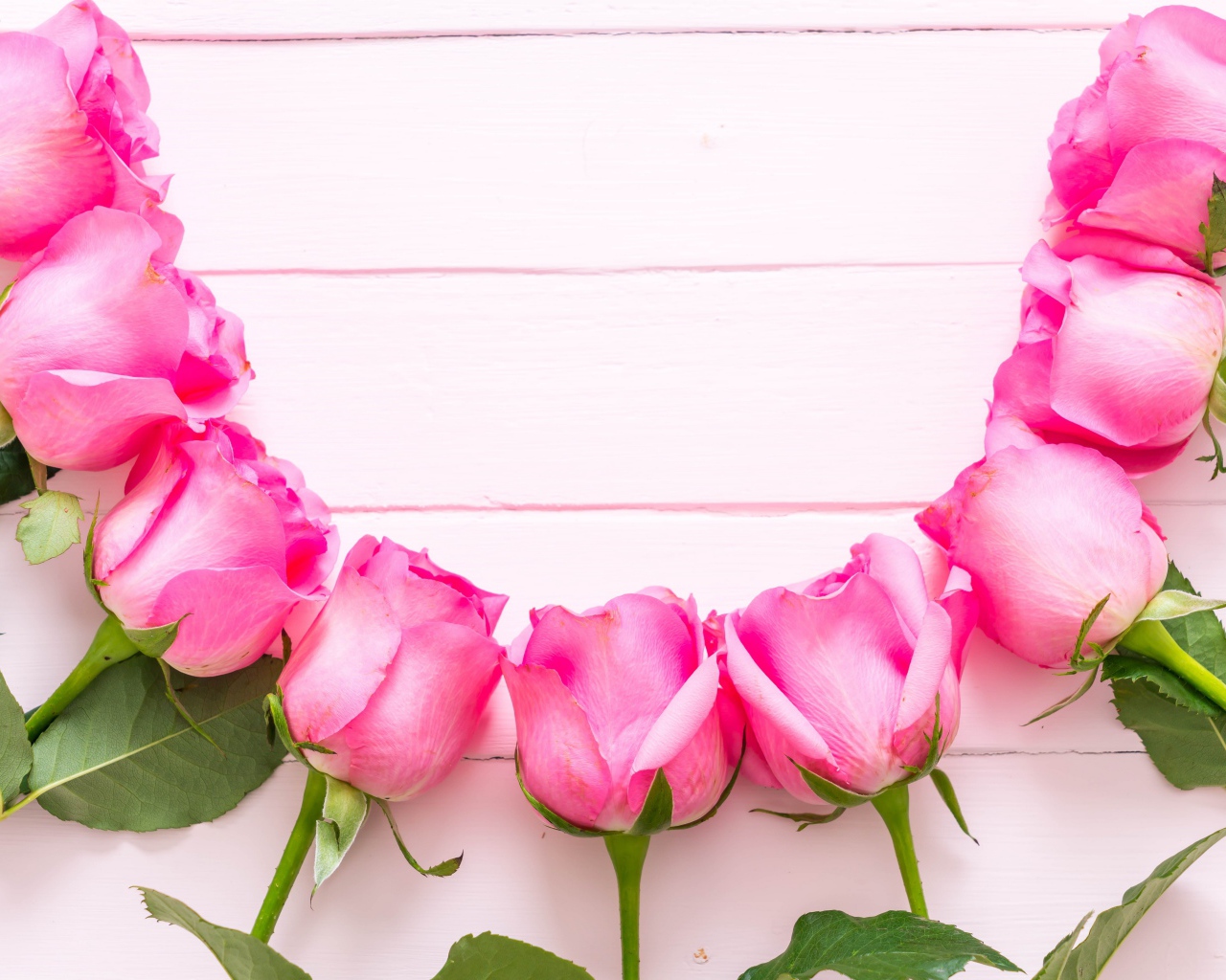 Розовые розы дугой на деревянном фоне