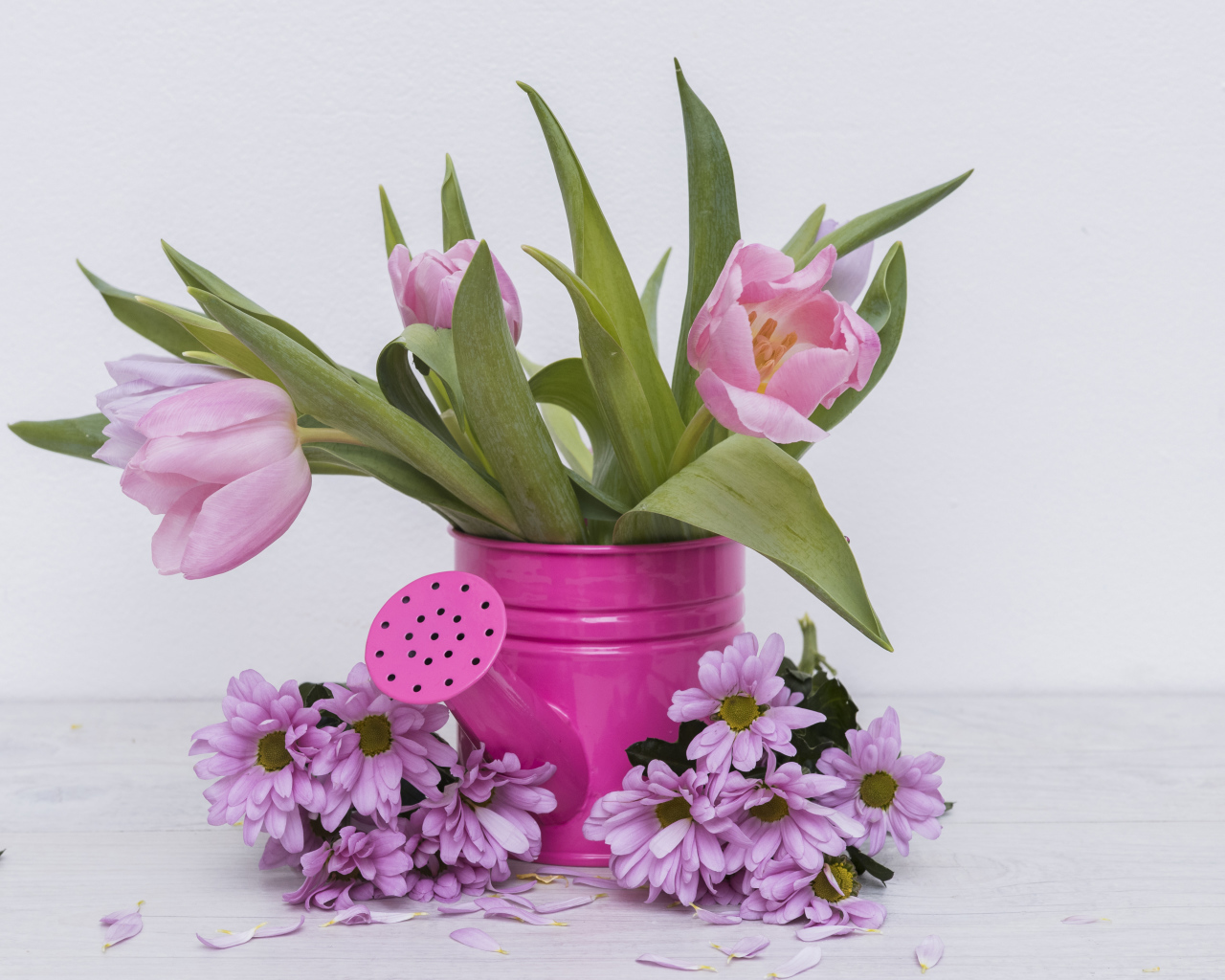 Розовые тюльпаны с цветами хризантемы на сером фоне