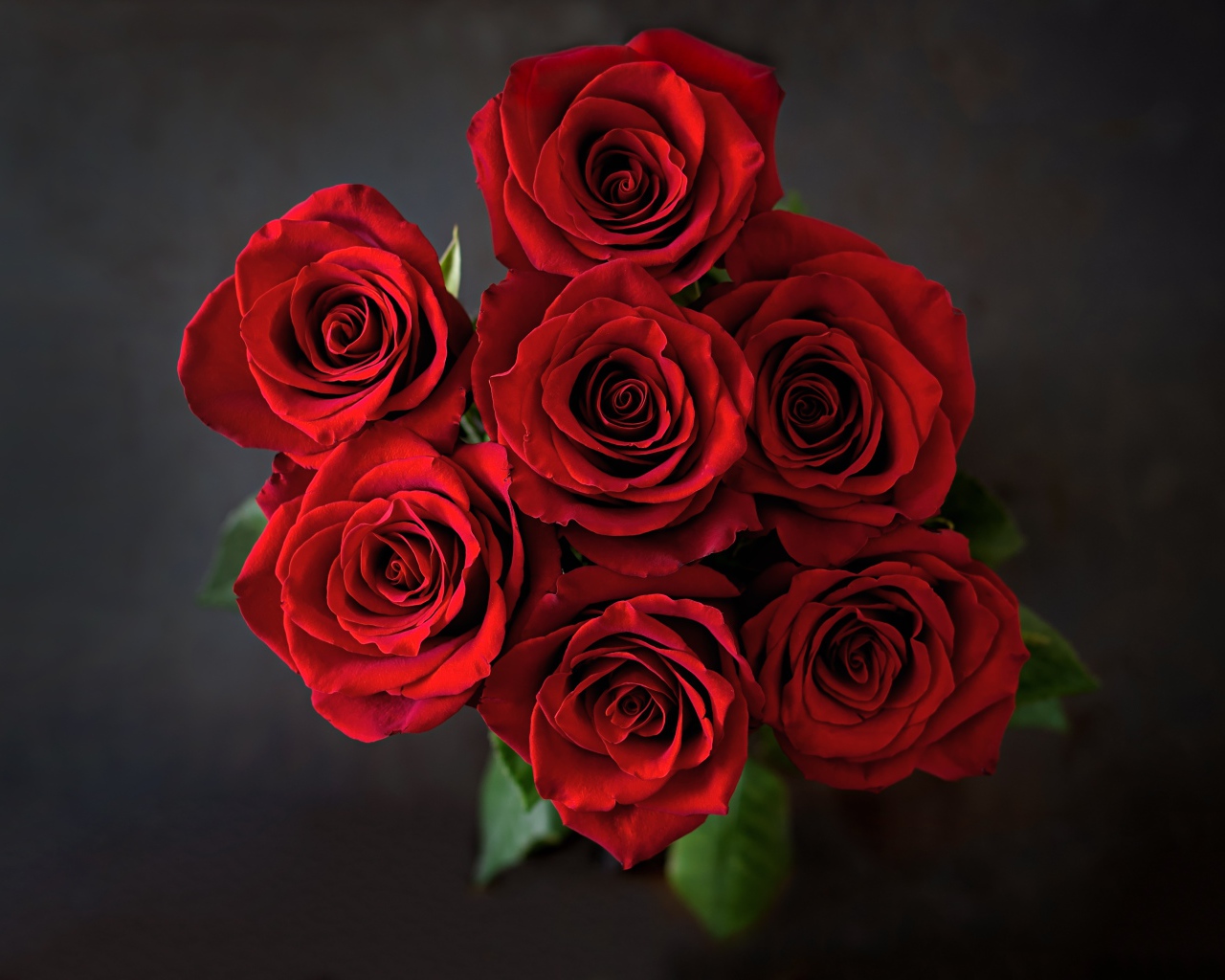 Букет красных роз вид сверху на сером фоне 