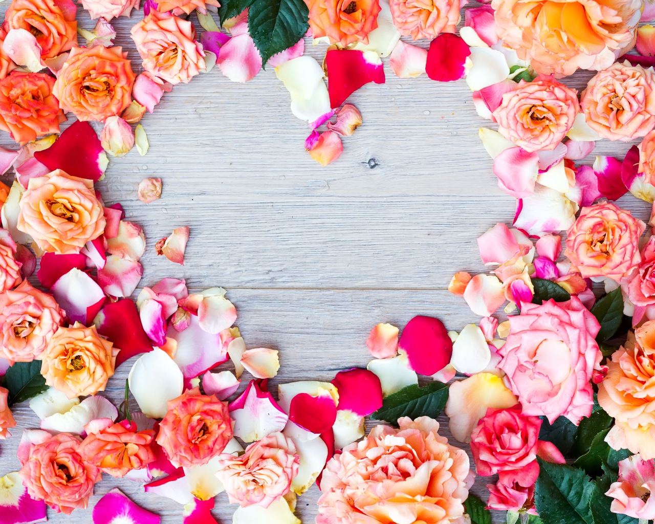 Бутоны роз на сером фоне крупным планом