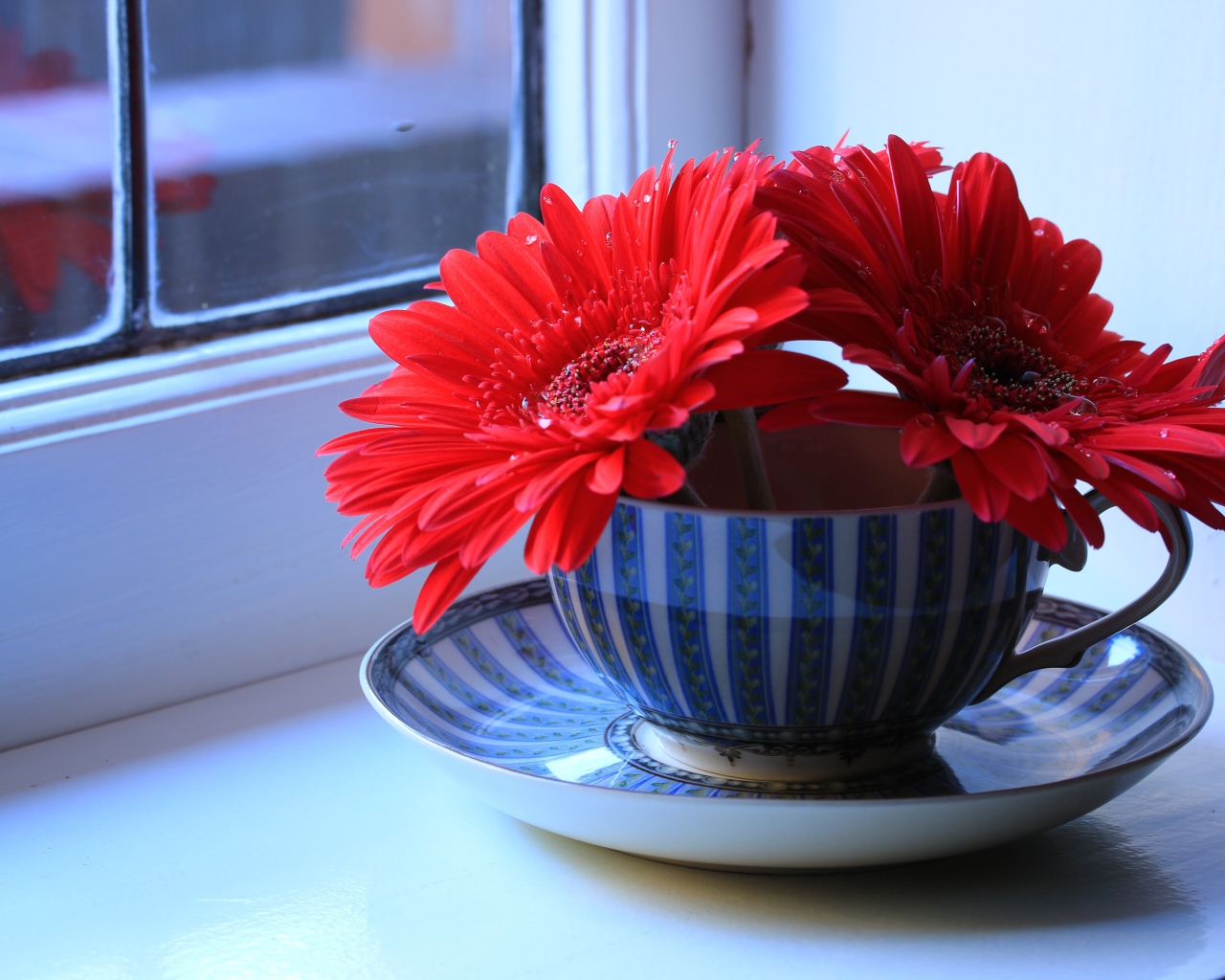 Три цветка красной герберы в чашке на подоконнике 