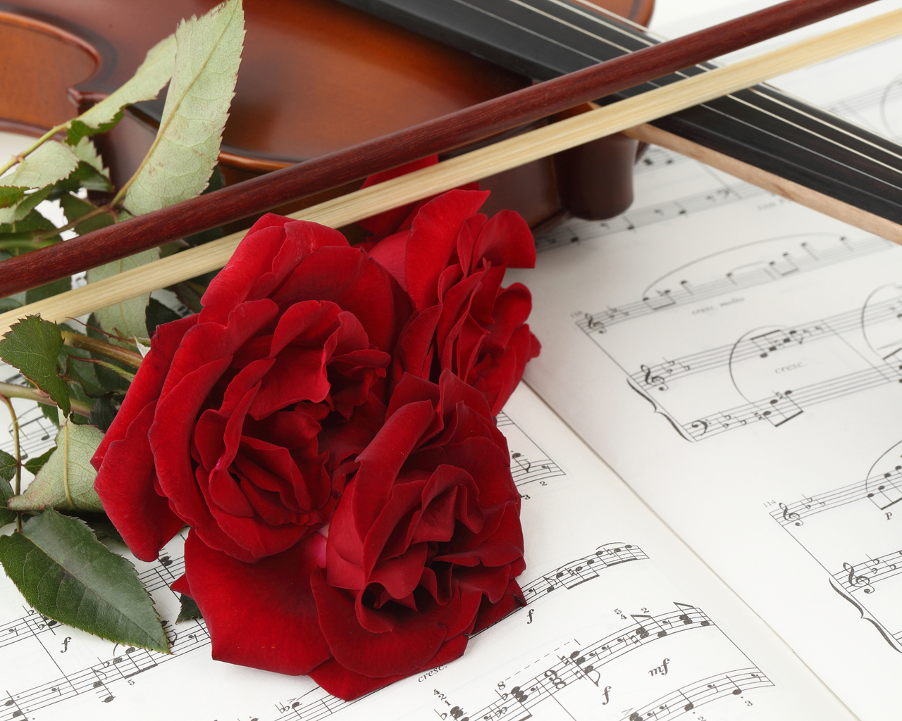 Три красных розы на нотах со скрипкой 