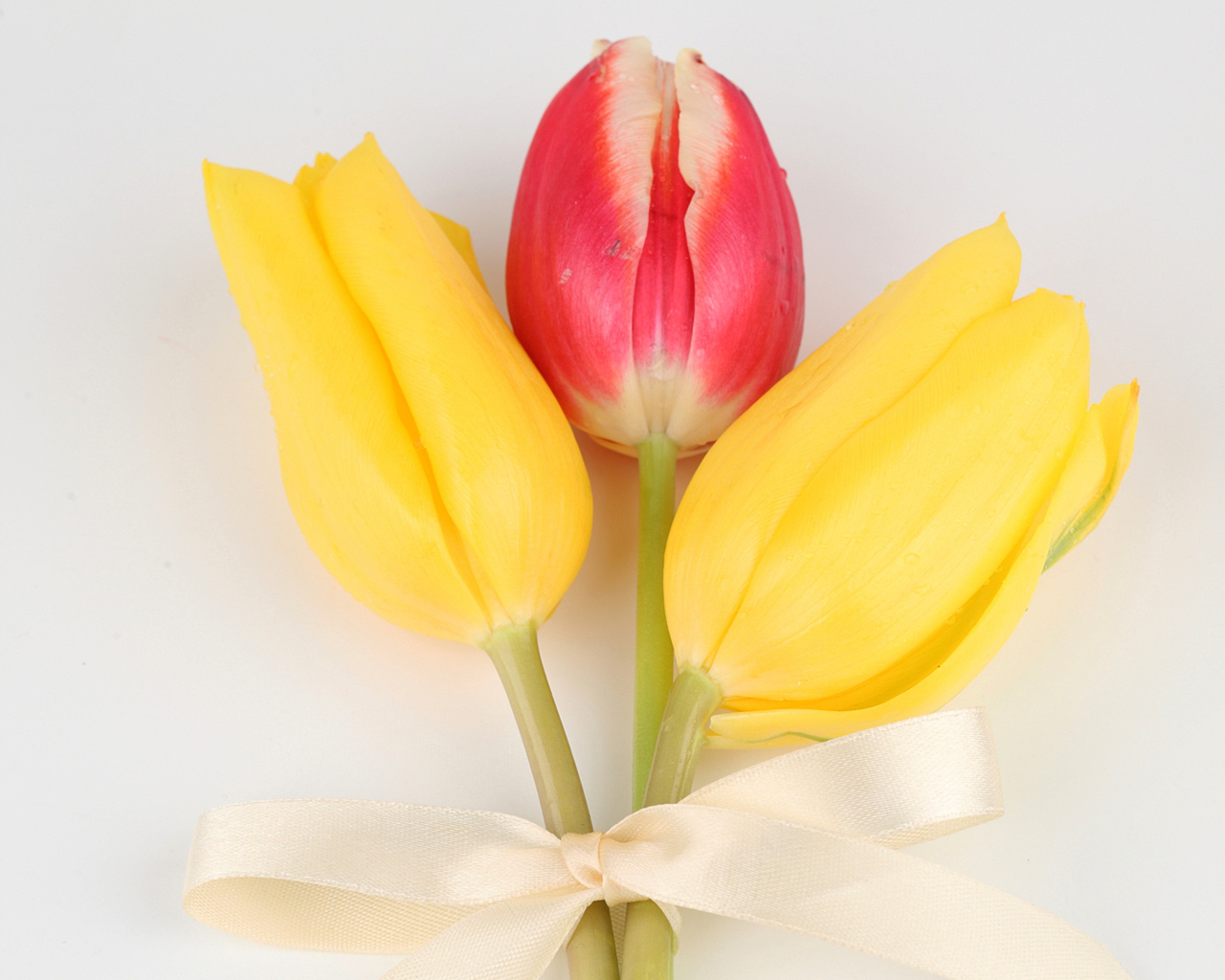 Три тюльпана с бантом на сером фоне