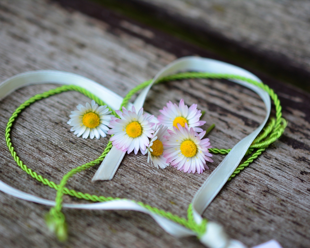 Белые маргаритки лежат на деревянной лавке с сердцем из ленты