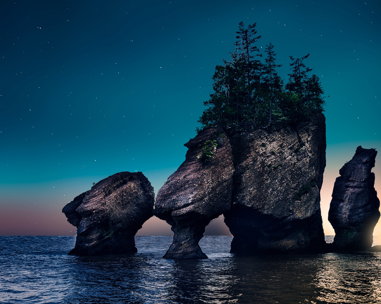 Rocks with trees in the water at night