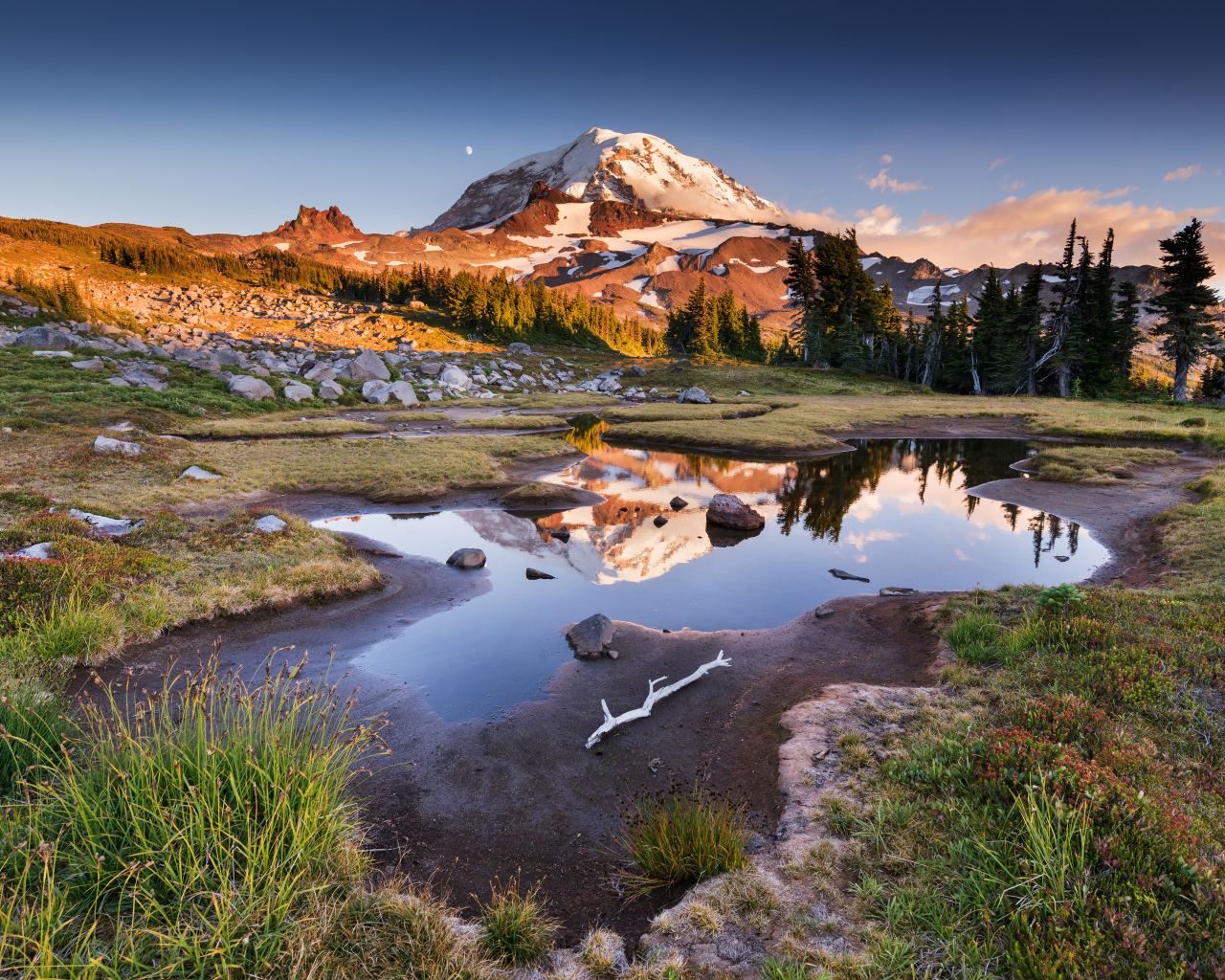 Заснеженная гора  у леса под голубым небом в лучах солнца