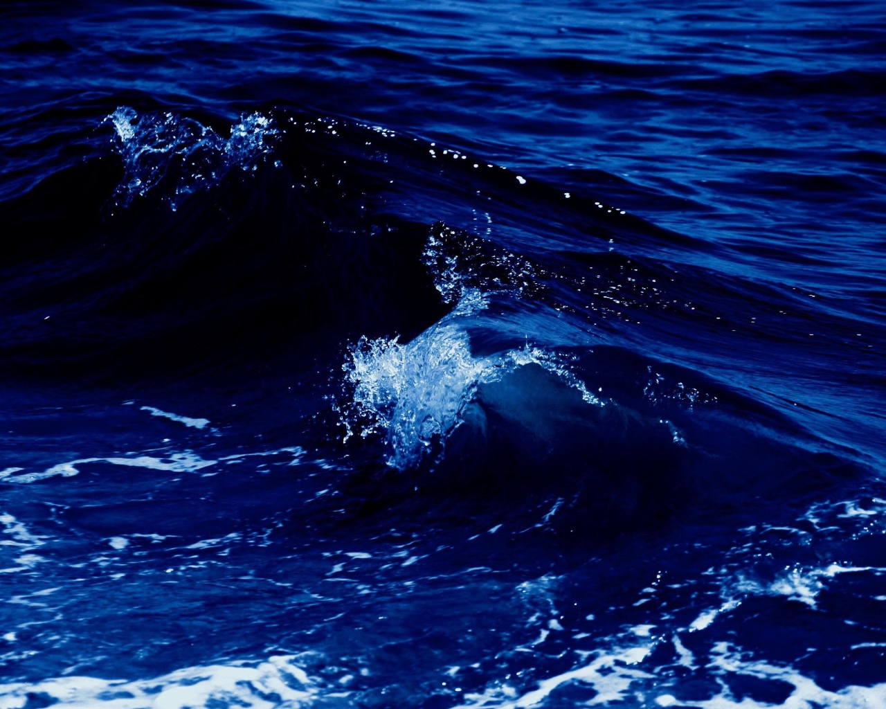 Белая волна в синем теплом море