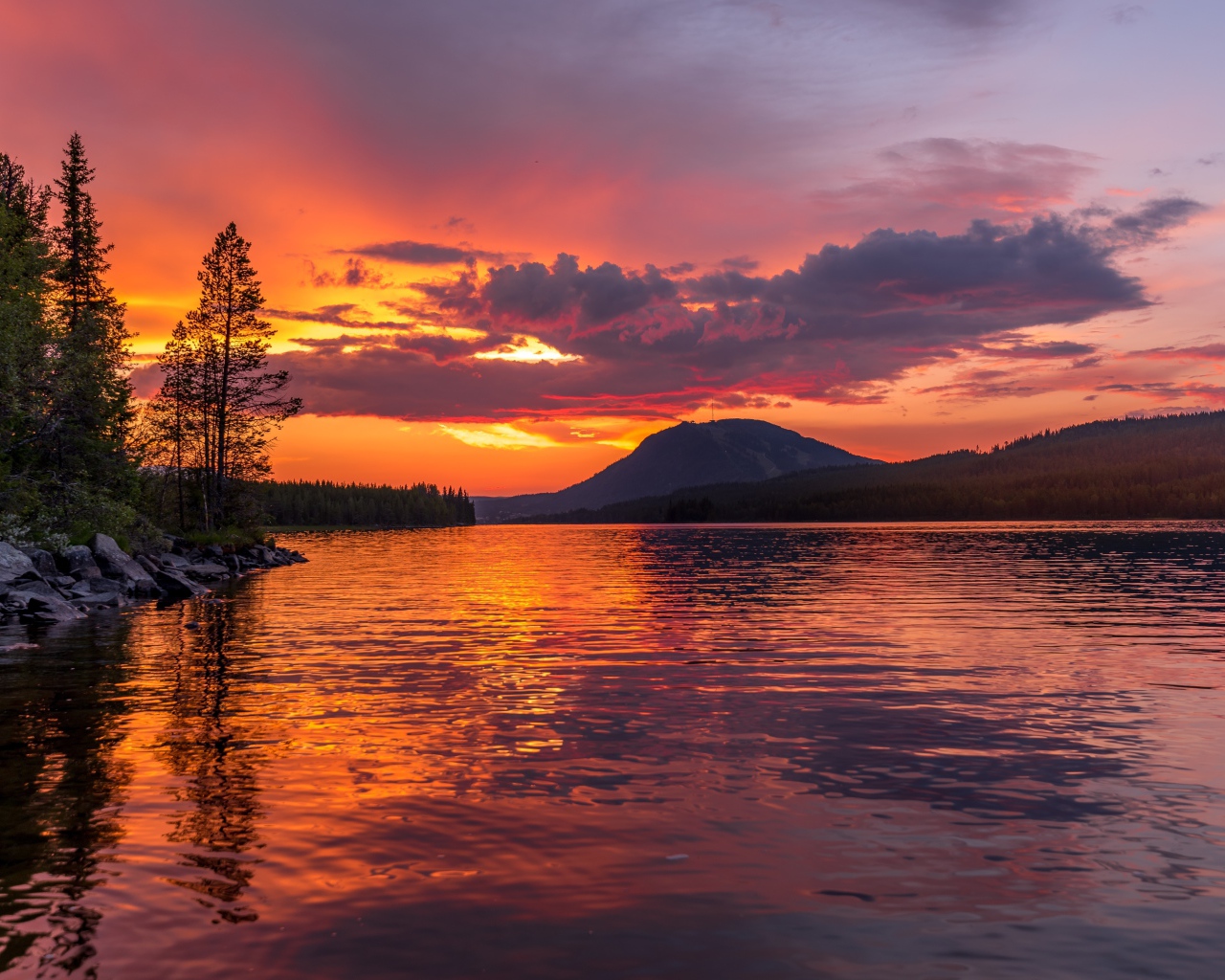 Закат в фиолетовом небе над рекой у леса