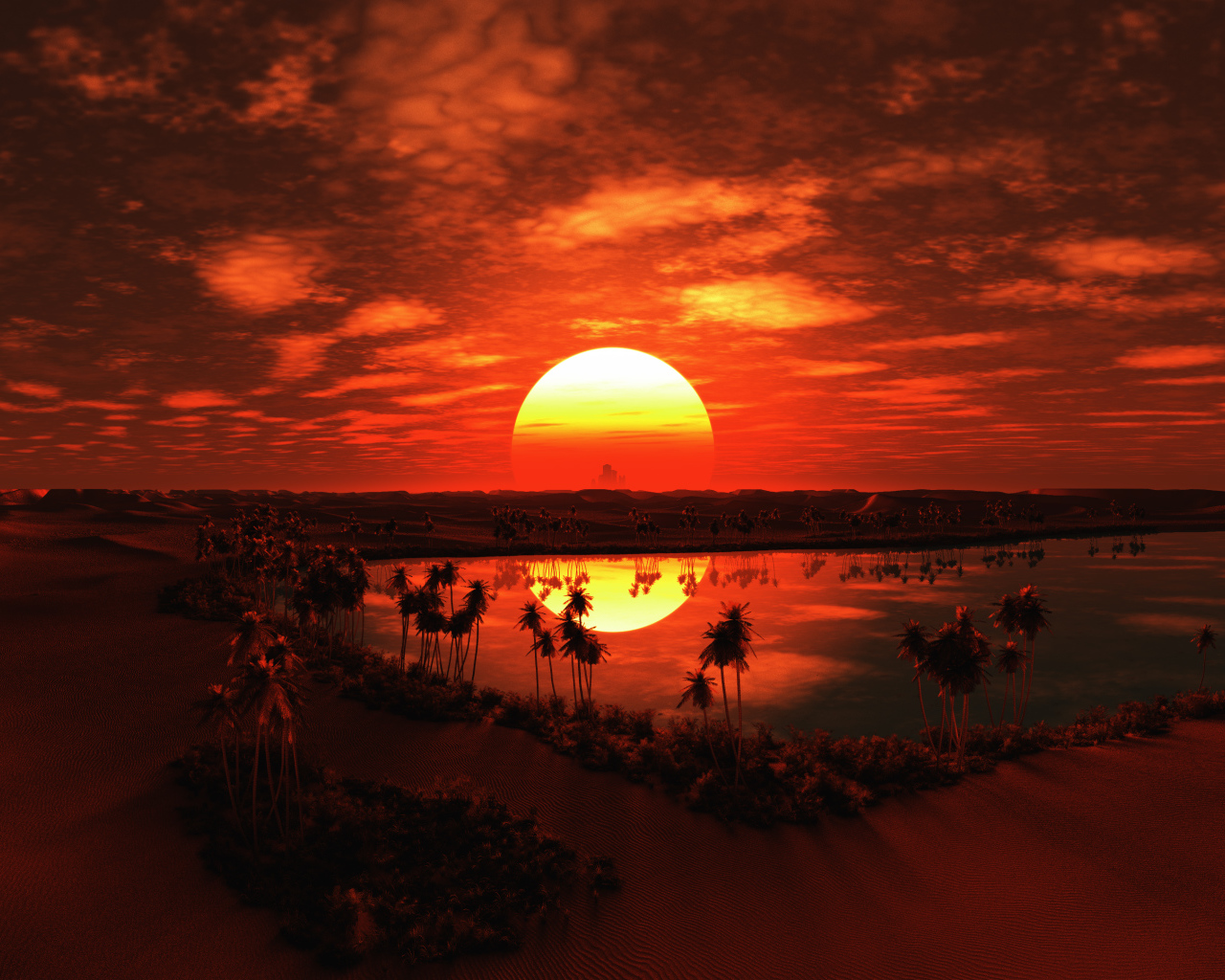 Закат большого солнца над пустыней в тропиках