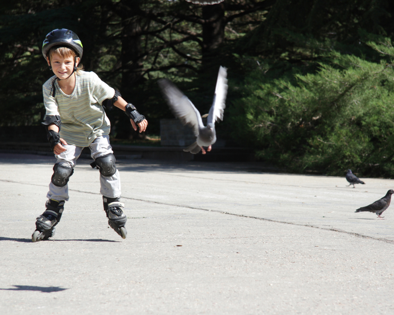 Мальчик катается на роликах на асфальте с голубями