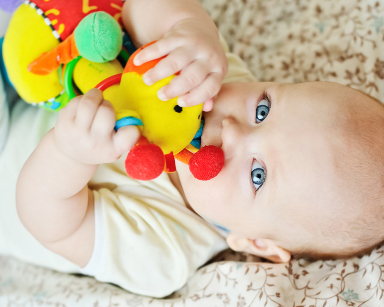 Маленький голубоглазый ребенок грызет игрушку