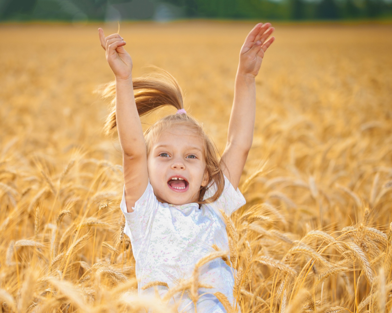 Маленькая веселая девочка в желтой пшенице