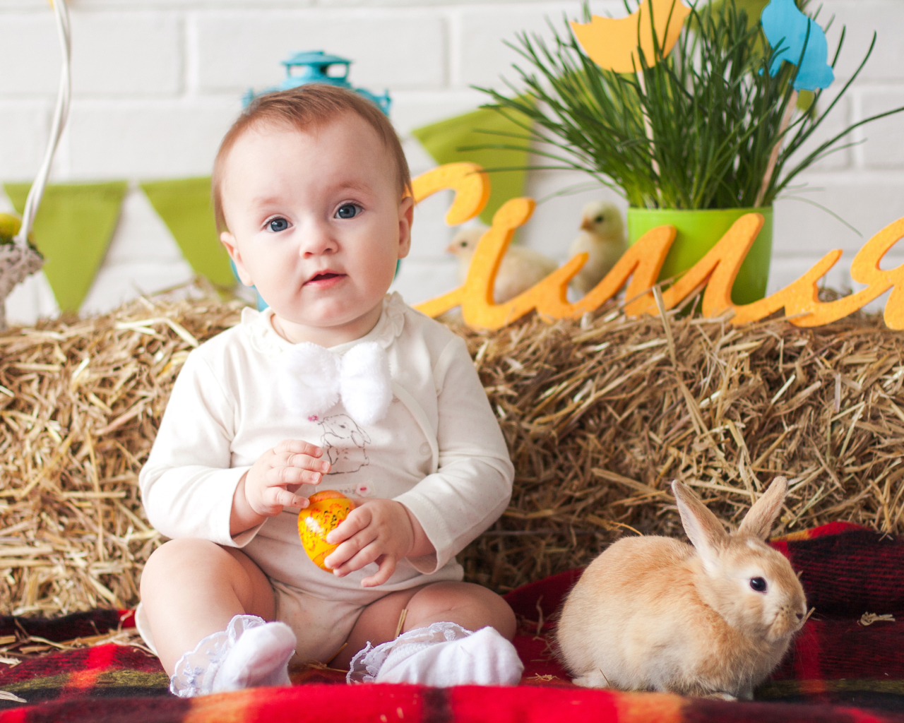 Маленький ребенок с крашеным яйцом и декоративным кроликом
