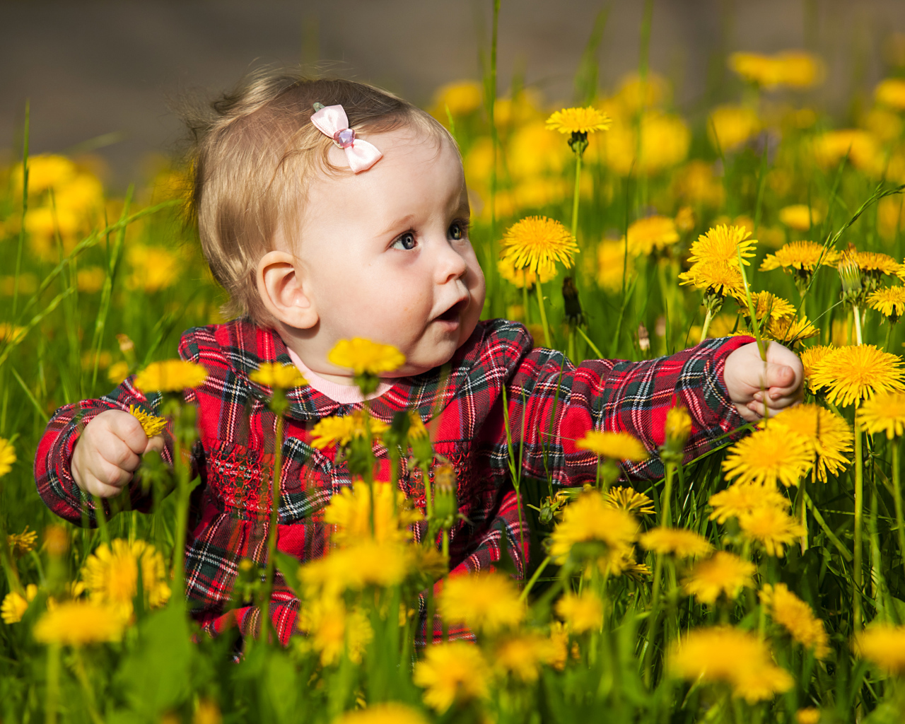Маленькая милая девочка сидит в желтых одуванчиках