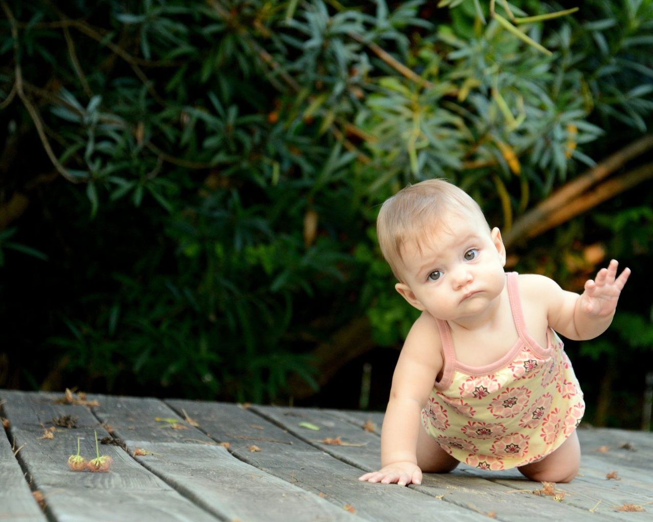 Маленькая девочка ползет по деревянному мосту