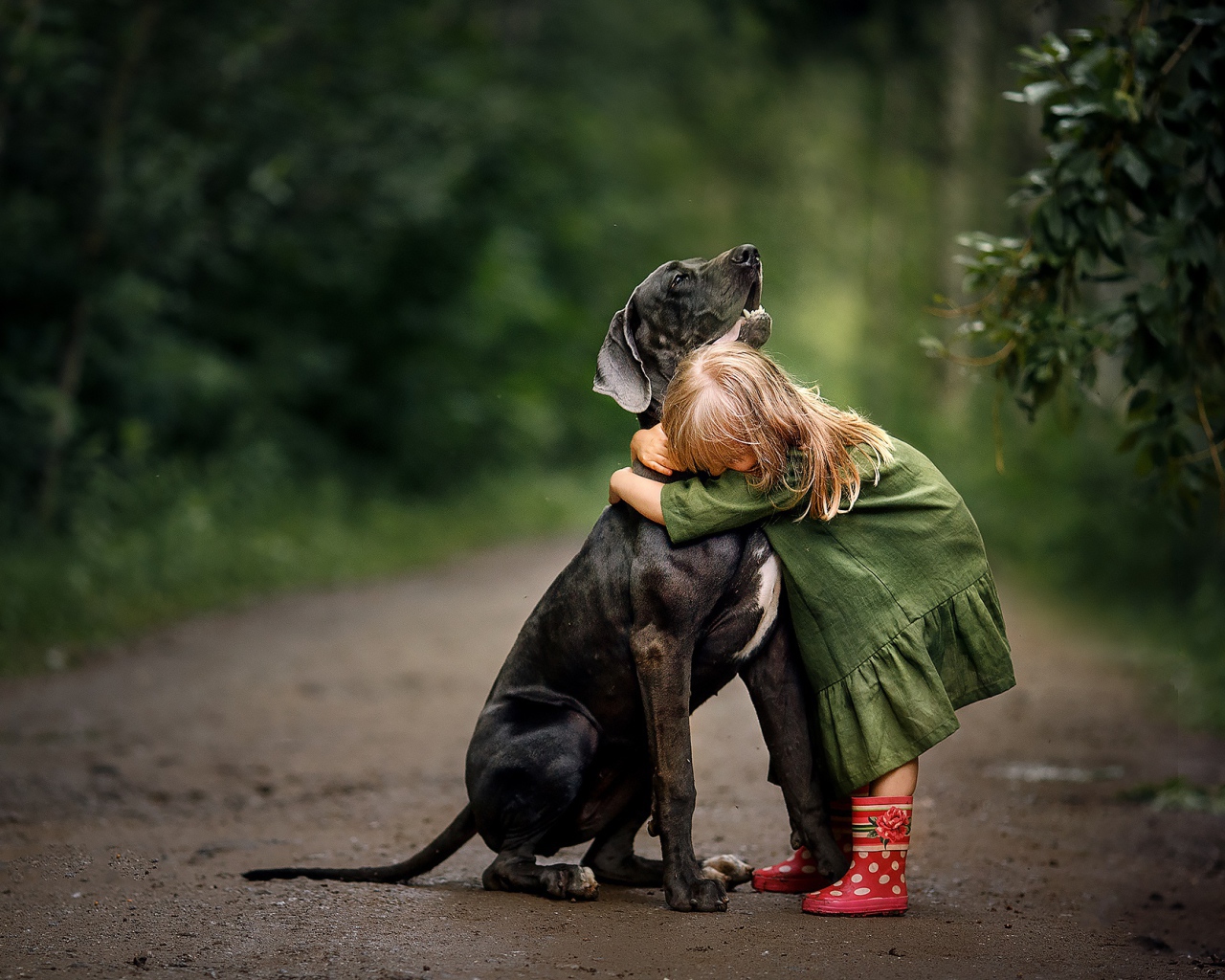 Маленькая девочка обнимает большого черного дога