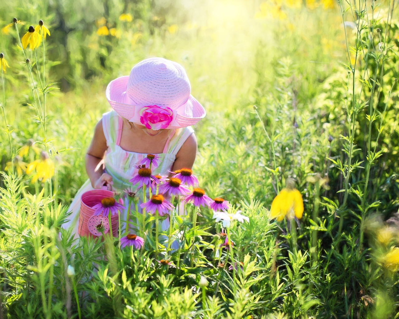Маленькая девочка на поляне с розовыми цветами эхинацеи 