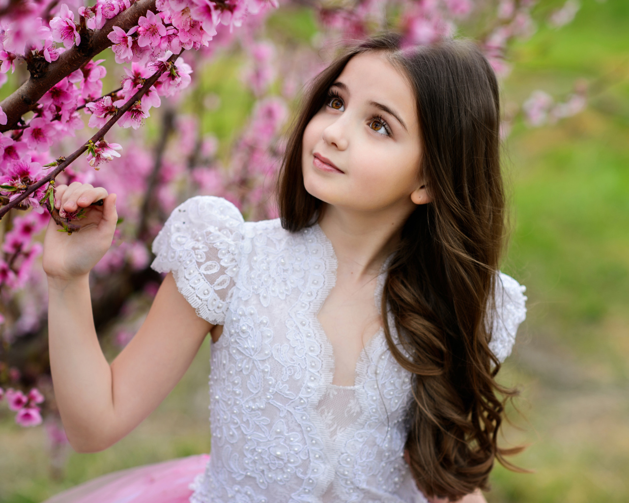 Маленькая длинноволосая девочка у дерева с розовыми цветами