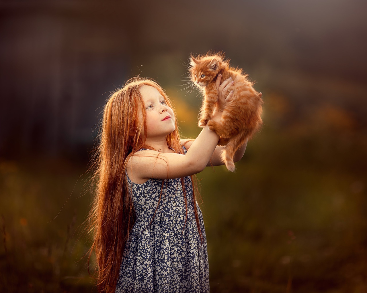 Маленькая рыжеволосая девочка с рыжим котенком в руках