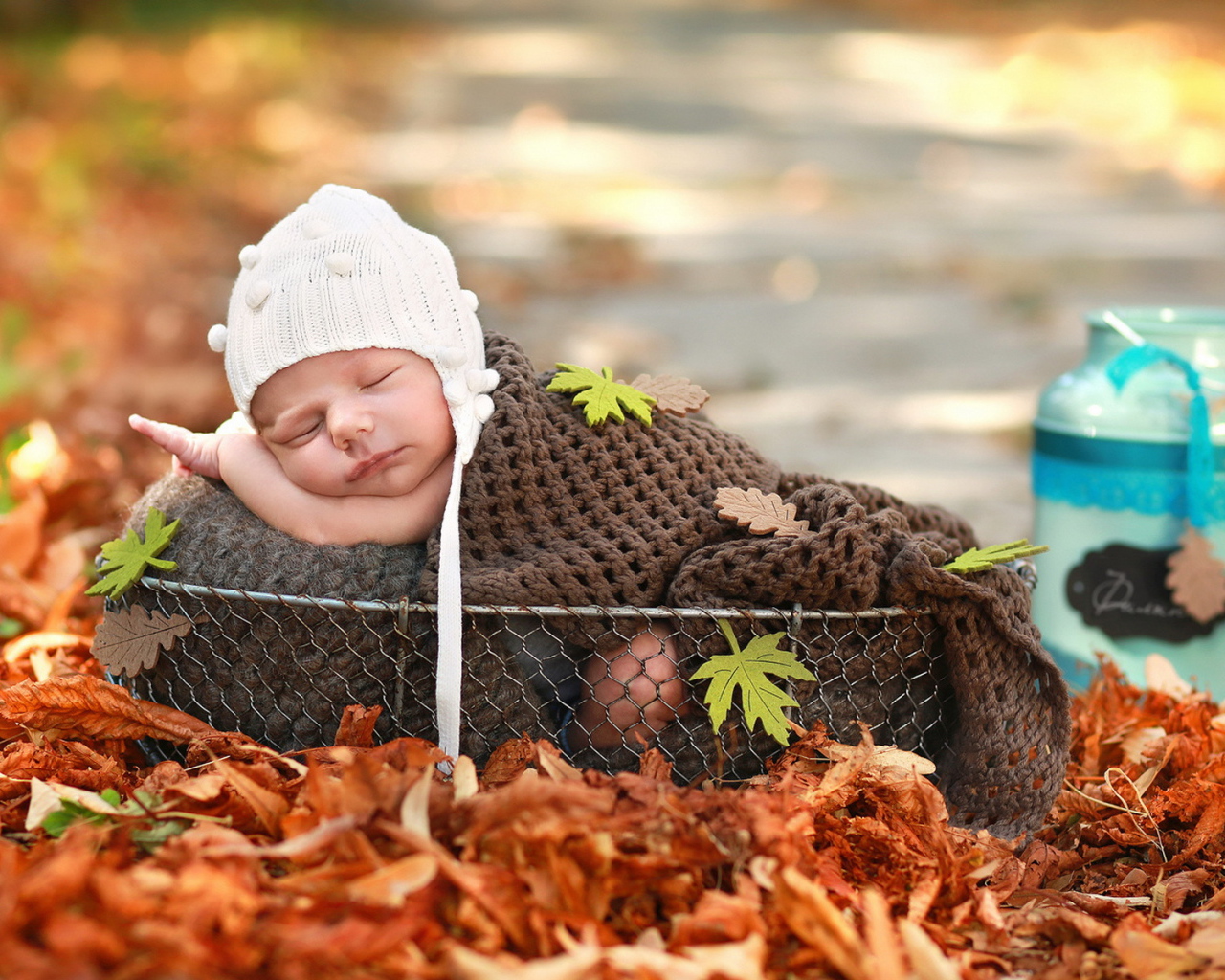 Спящий грудной ребенок в корзине осенью 