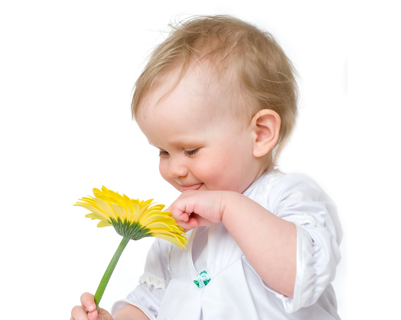 Улыбающийся малыш с желтым цветком герберы на белом фоне