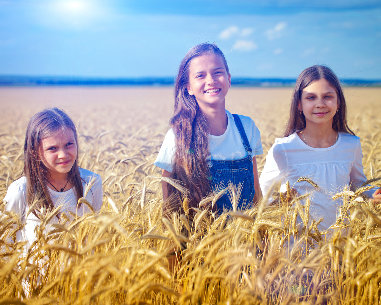 Три девочки на поле с желтой пшеницей