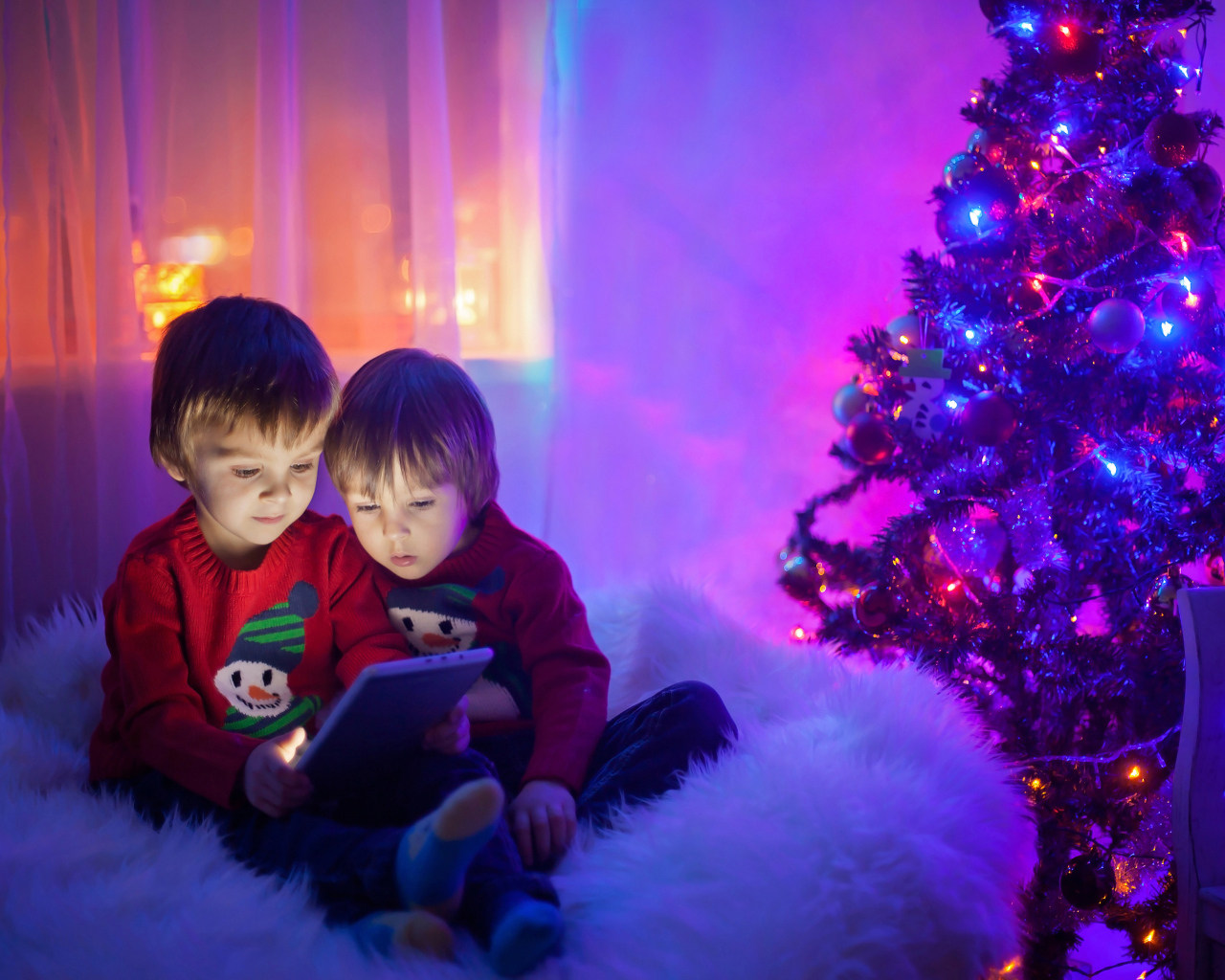 Два маленьких мальчика смотрят мультики у новогодней елки