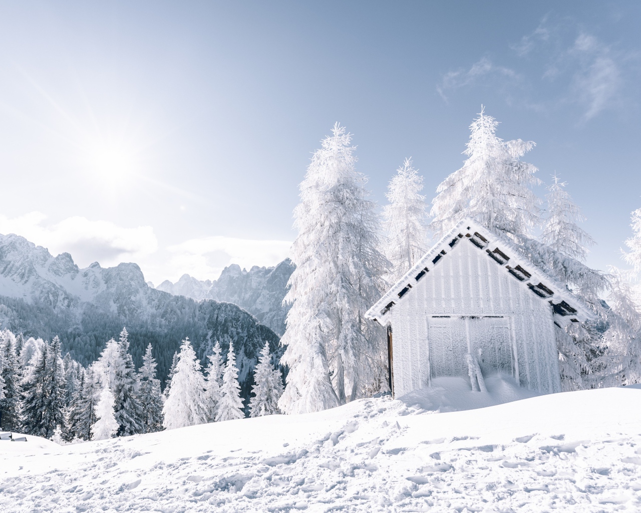 Заледеневший дом в покрытом снегом лесу