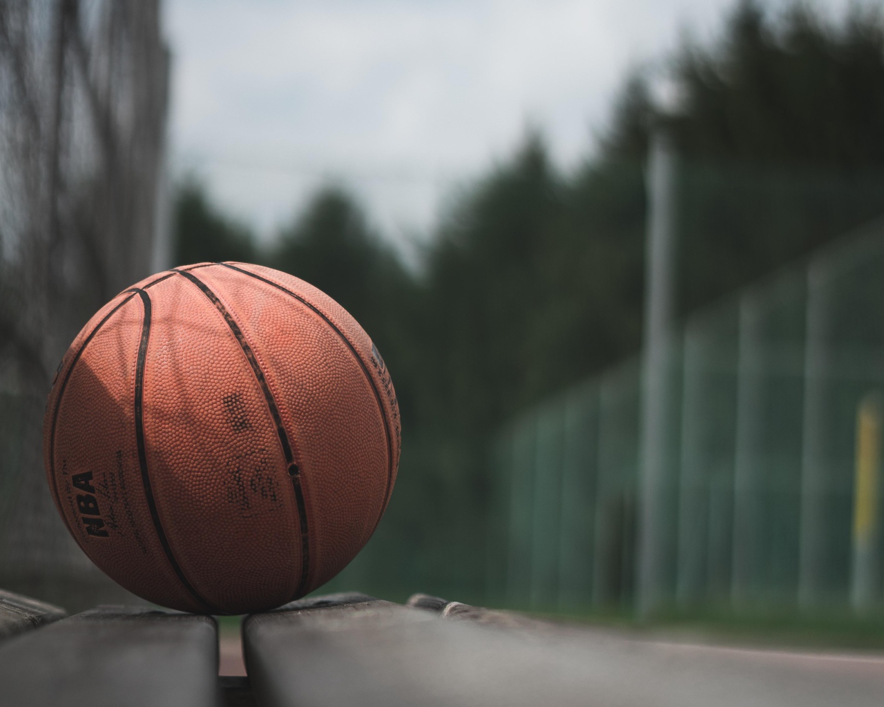 Баскетбольный мяч лежит на деревянной лавке