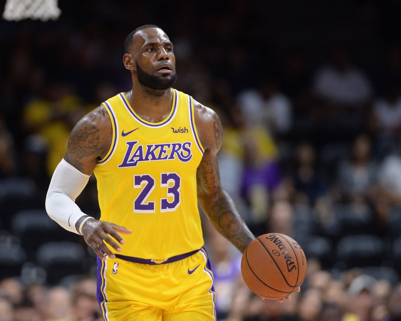 Баскетболист Леброн Джеймс игрок команды «Лос-Анджелес Лейкерс»