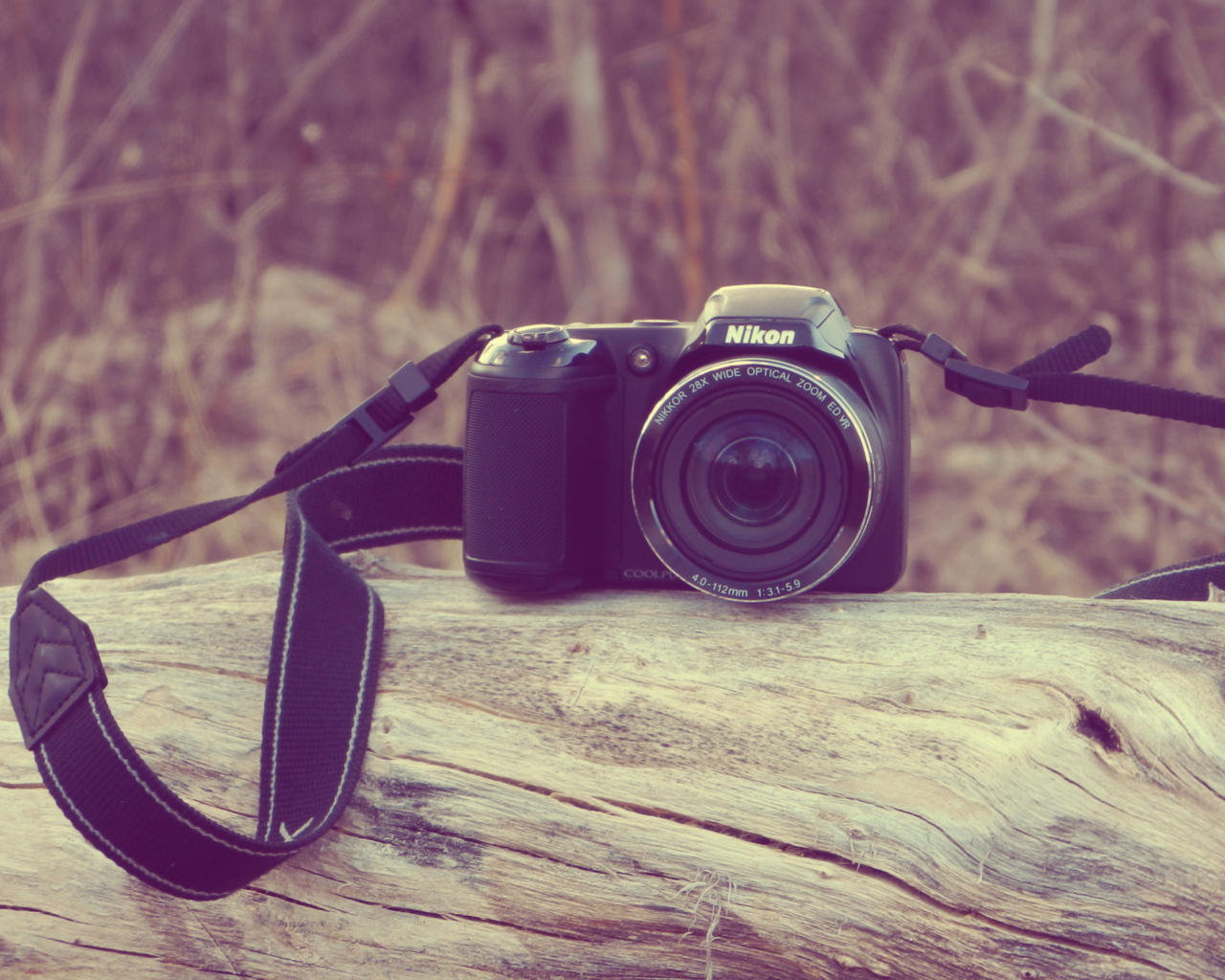 Фотоаппарат Nikon лежит на сухом дереве